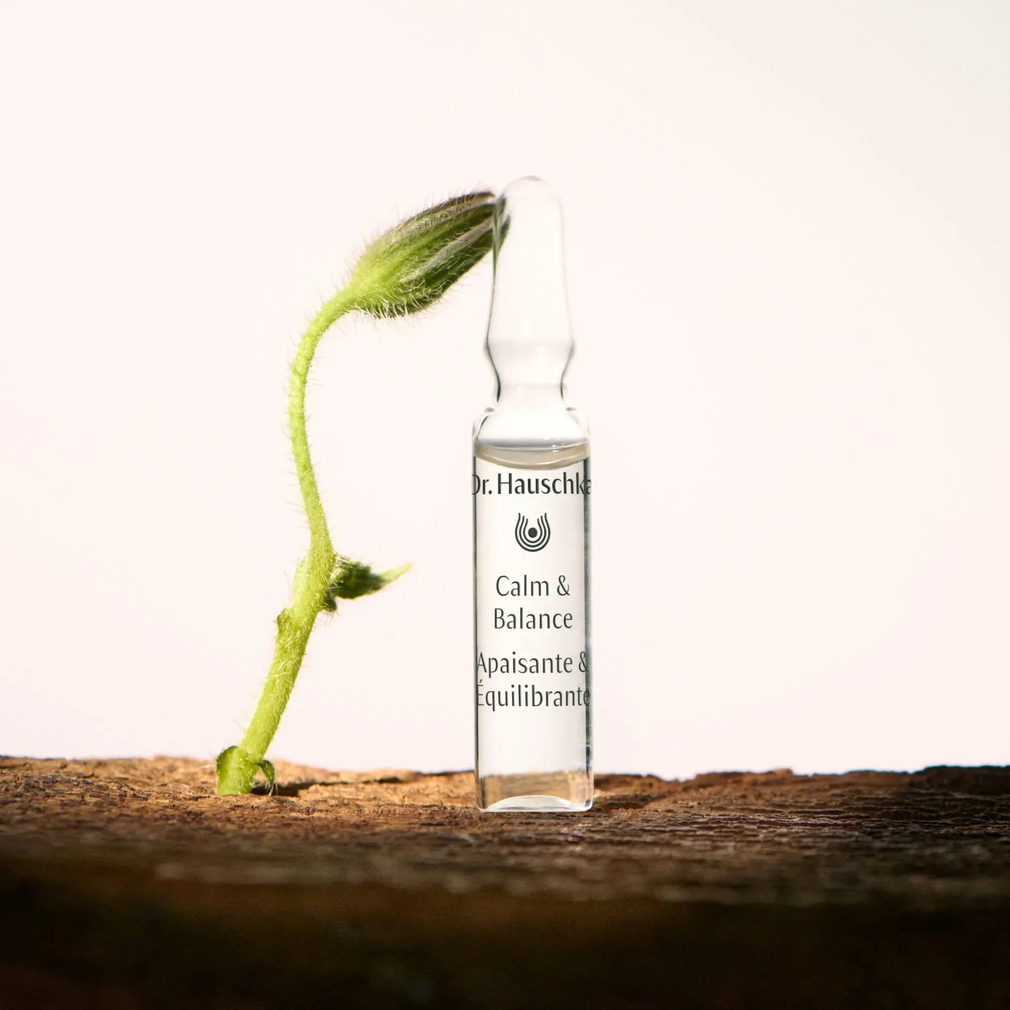Dr. Hauschka Facial Care Calm & Balance Intensiv lindrende pleje til sensitiv hud 7x2 ml