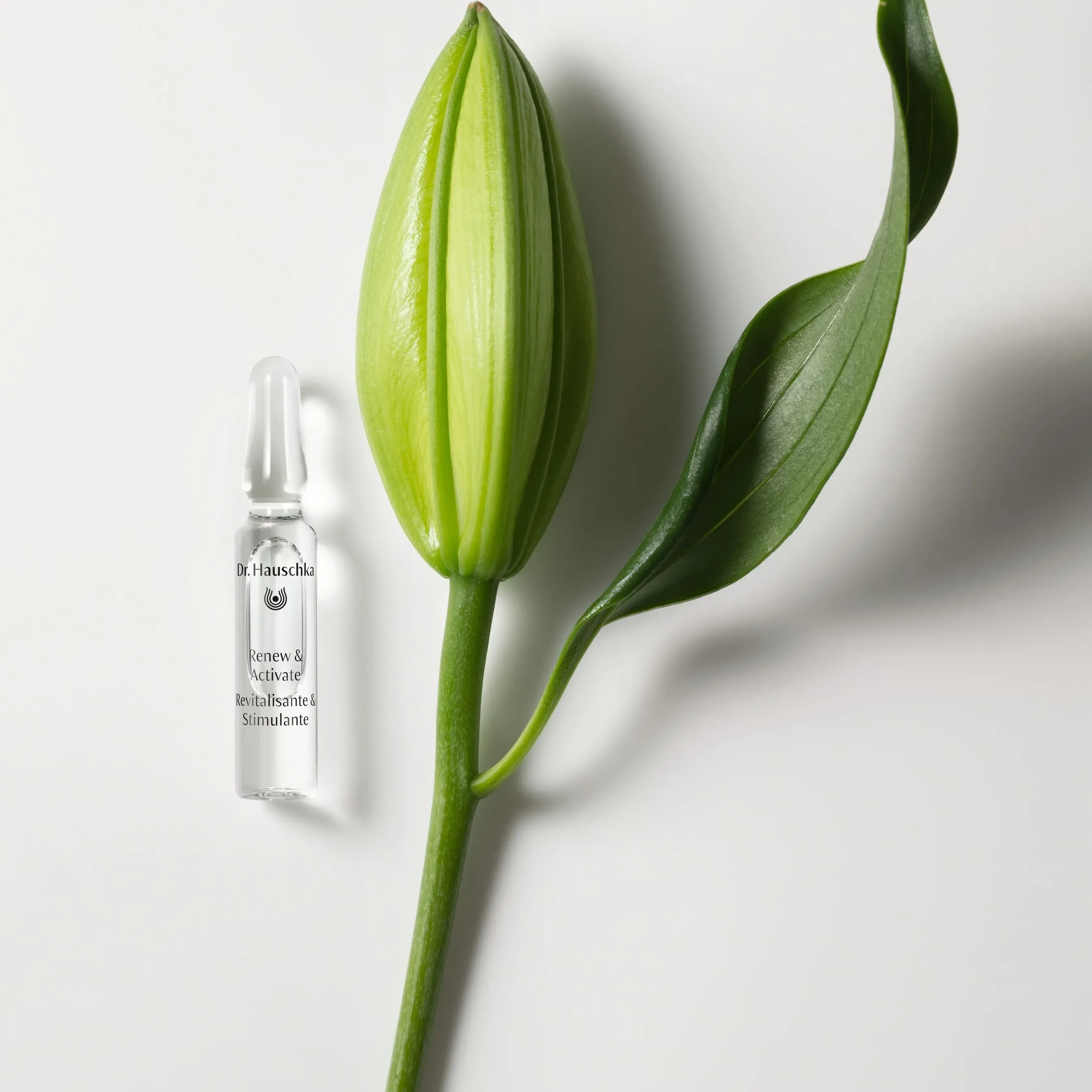 Dr. Hauschka - Renew & Activate Ampoules, 28 x 2ml