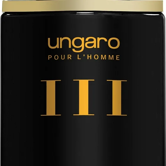 Emanuel Ungaro L'Homme III Eau de Toilette för män 100 ml