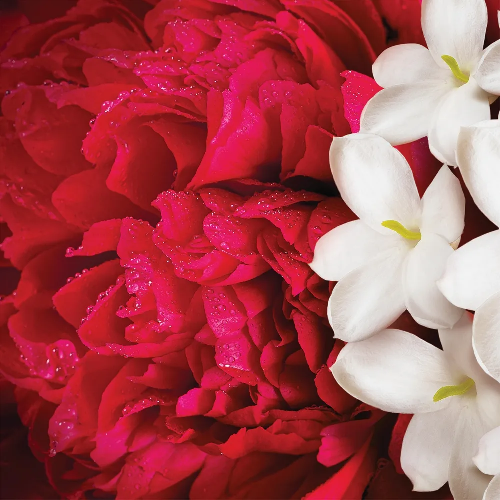 Escada Yum Me! Blossom Body & Hair Mist parfumeret spray til krop og hår til kvinder 100 ml