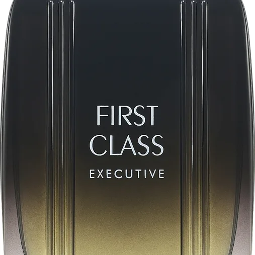 Etienne Aigner First Class Executive Eau de Toilette til mænd 100 ml