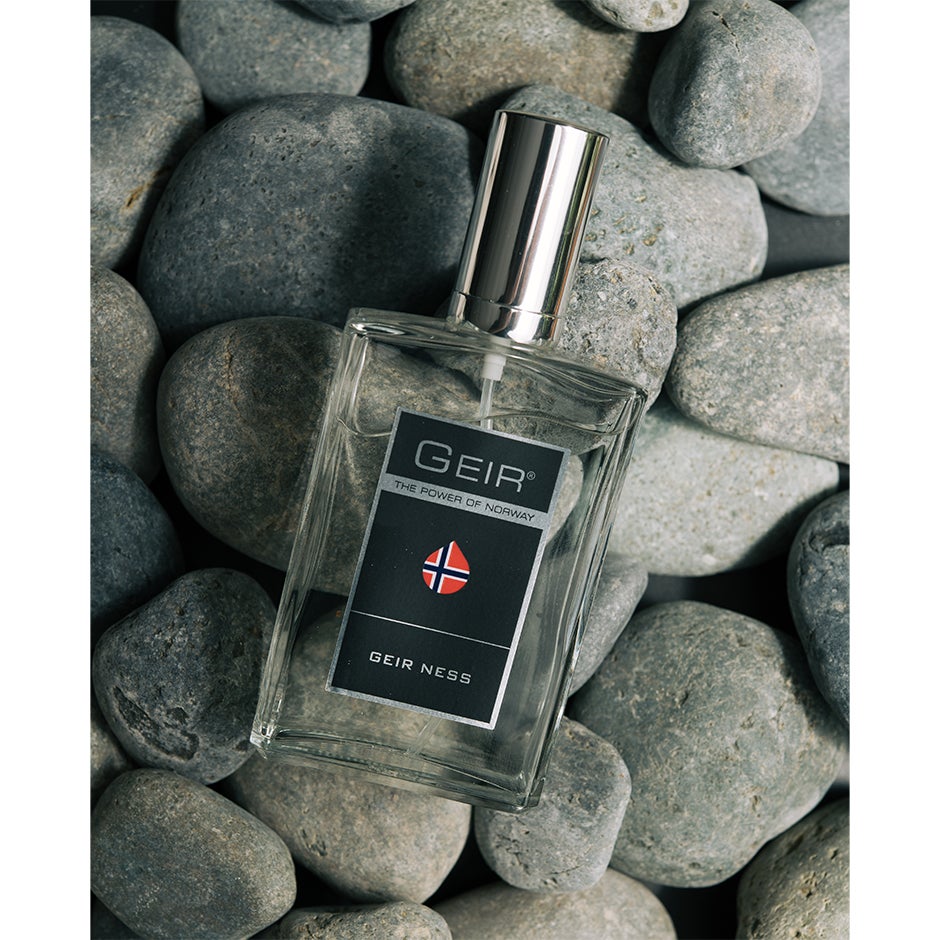 Geir Ness