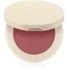 Farmasi Blush Puderborste Skugga 02 Goddess Glow 4.5 g