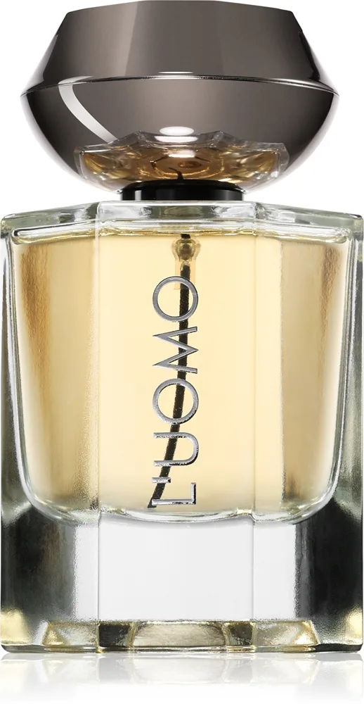 Fragrance World Fw L'Uomo Eau de Parfum för män 100 ml
