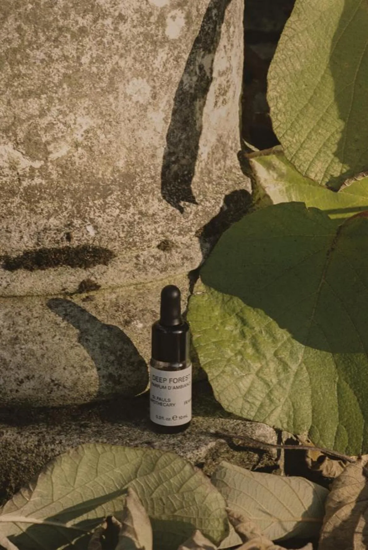 Deep Forest Essential Oil Dropper 10 ml