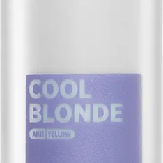 Framesi Decolor B Cool Blonde Fuktgivande schampo för blont hår 250 ml
