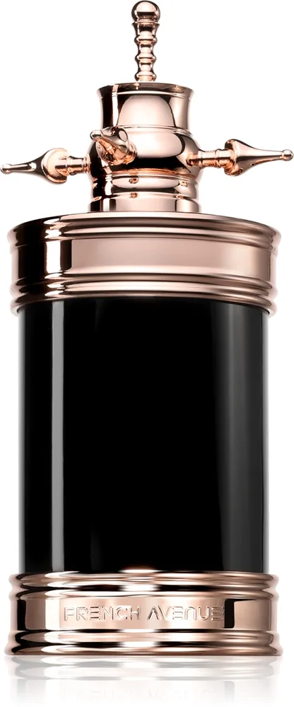 French Avenue Axis Eau de Parfum Unisex 100 ml