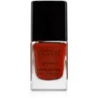 Gabriella Salvete Longlasting Enamel pitkäkestoinen kynsilakka voimakas kiilto sävy 26 Chilli 11 ml