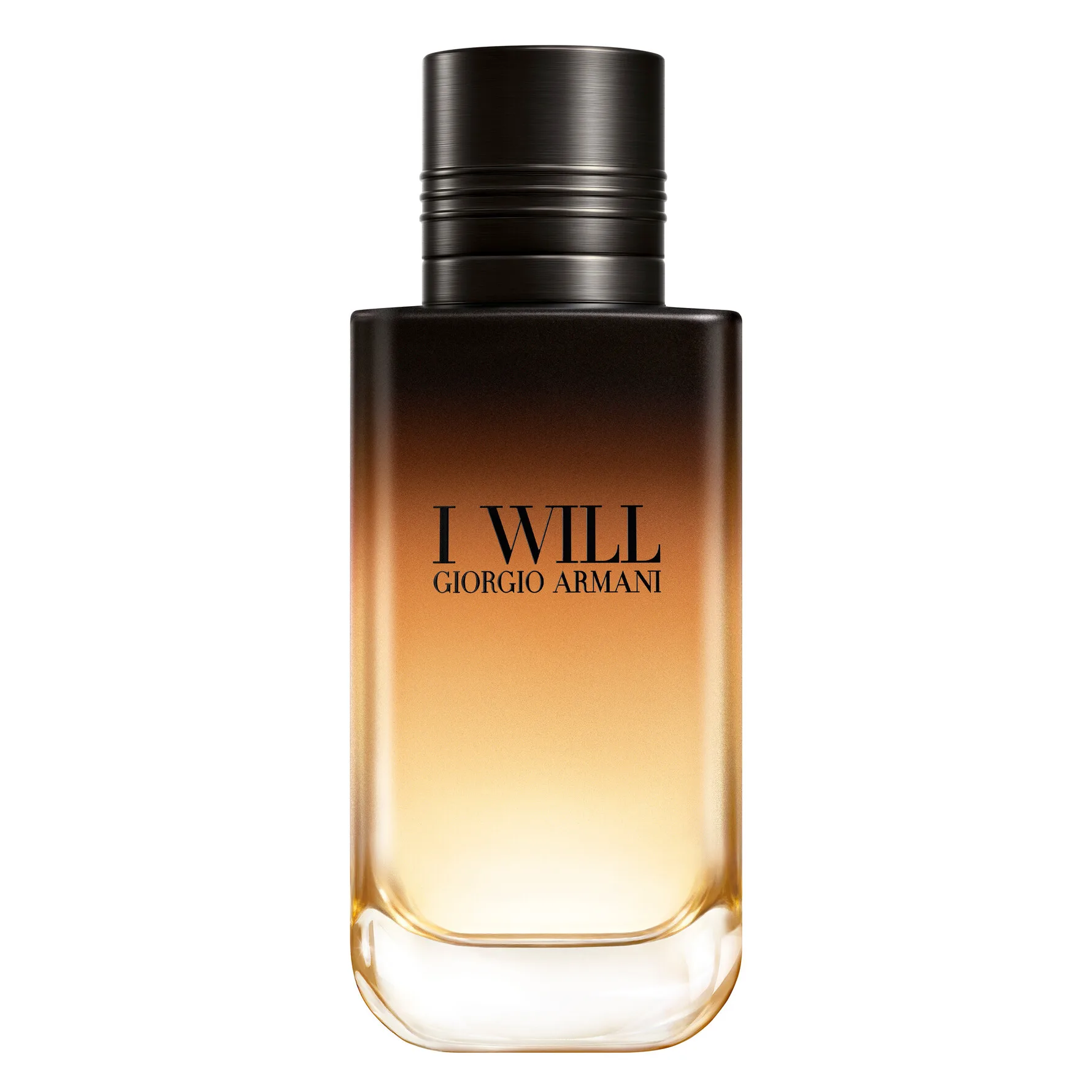 Giorgio Armani I WILL EDP 100 ml