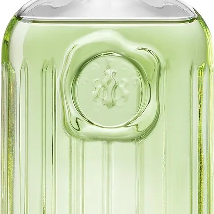 Giorgio Beverly Hills Giorgio for Men Eau de Toilette för män 118 ml