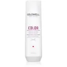Goldwell Dualsenses Color Färgskyddande schampo 250 ml