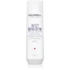 Goldwell Dualsenses Just Smooth Taming Shampoo Schampo