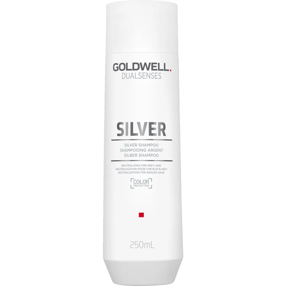 Goldwell Dualsenses Silver Silver Shampoo Schampo