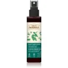 Green Pharmacy Nettle & Burdock oil Elixir Serum for normalt hår 150 ml