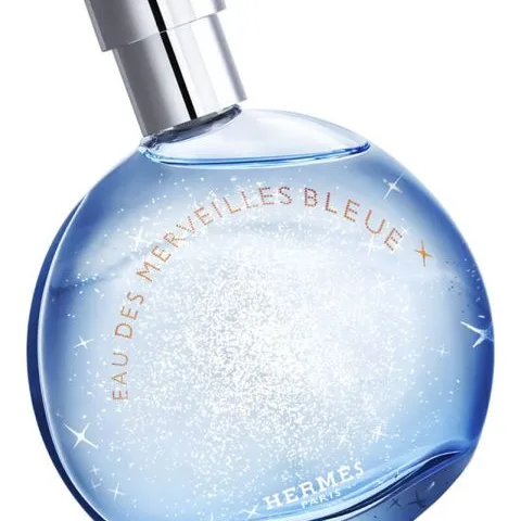 Hermes Eau Des Merveilles Bleue EDT 100 ml