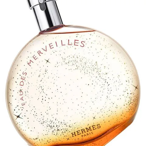 Hermes Eau Des Merveilles EDT 100 ml