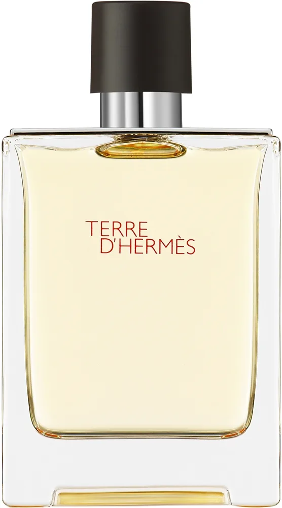 HERMÈS Terre d’Hermès Eau de Toilette -tuoksu miehille 100 ml