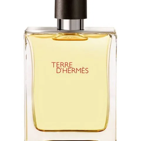 Hermes Terre d'Hermes EDT 100 ml