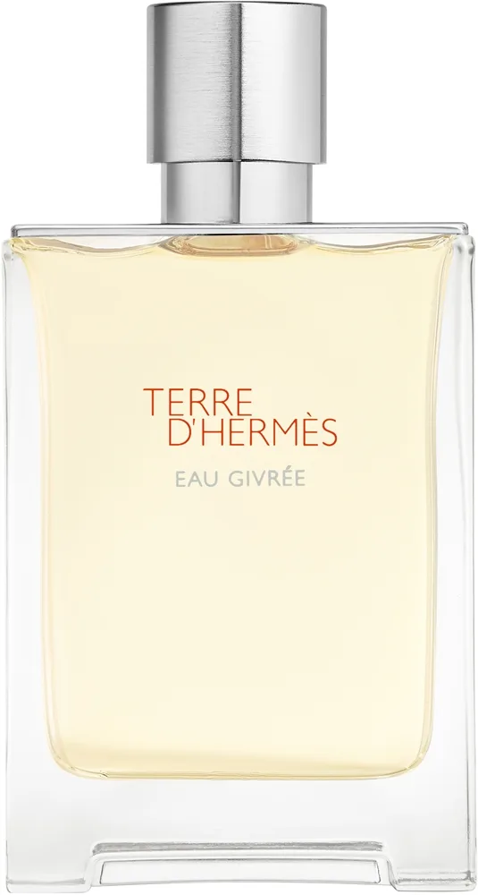 Hermès Terre d'Hermès Eau Givrée Refillable Spray EDP 100 ml