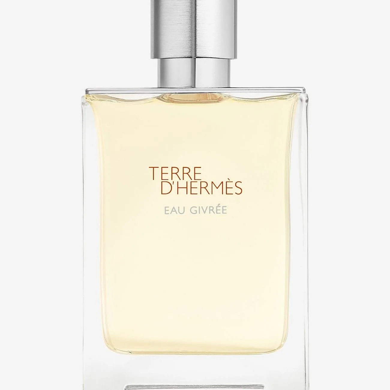 Hermès Terre d'Hermès Eau Givrée Refillable Spray EDP 100 ml