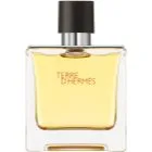 Hermes Terre D'Hermes Pure Parfum EDP 75 ml