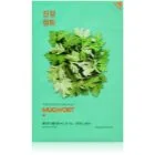 Holika Holika Pure Essence Mugwort Lindrande arkmask 23 ml