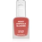 House of Hur Moist Ampoule Blusher Flytande rouge Skugga 05 Peach Coral 20 ml