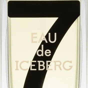 Iceberg Eau de Iceberg 74 Pour Homme Eau de Toilette för män 100 ml