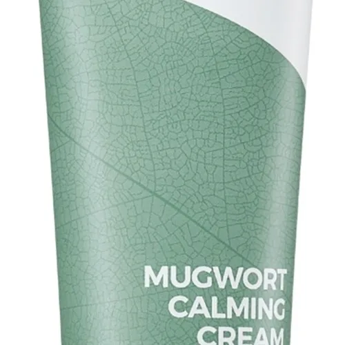 Isntree Mugwort Calming Cream 50 ml