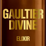 Jean Paul Gaultier Gaultier Divine Elixir Eau de Parfum til kvinder 15 ml