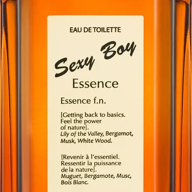 Jeanne Arthes Sexy Boy Essence Eau de Toilette för män 100 ml