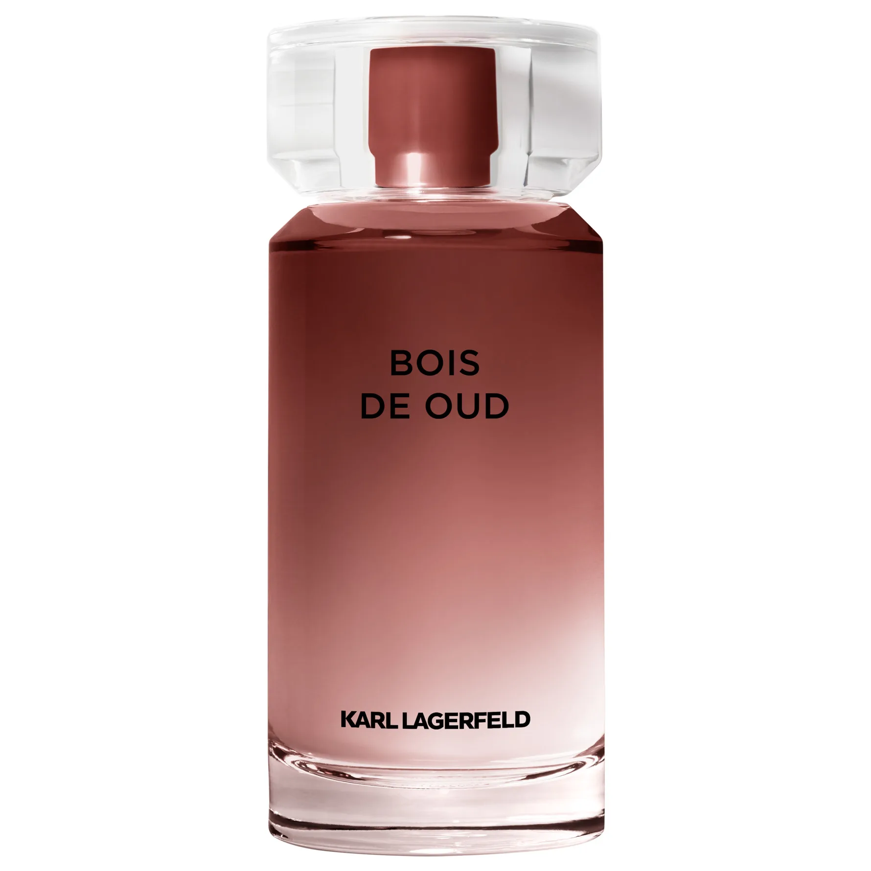 Karl Lagerfeld Les Parfums Matières Bois de Oud Eau de Toilette 100 ml