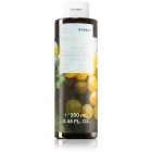 Korres Santorini Grape Återvitaliserande dusch-gel 250 ml