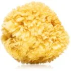 Magnum Natural Caribisk hav svamp 14- 16 cm