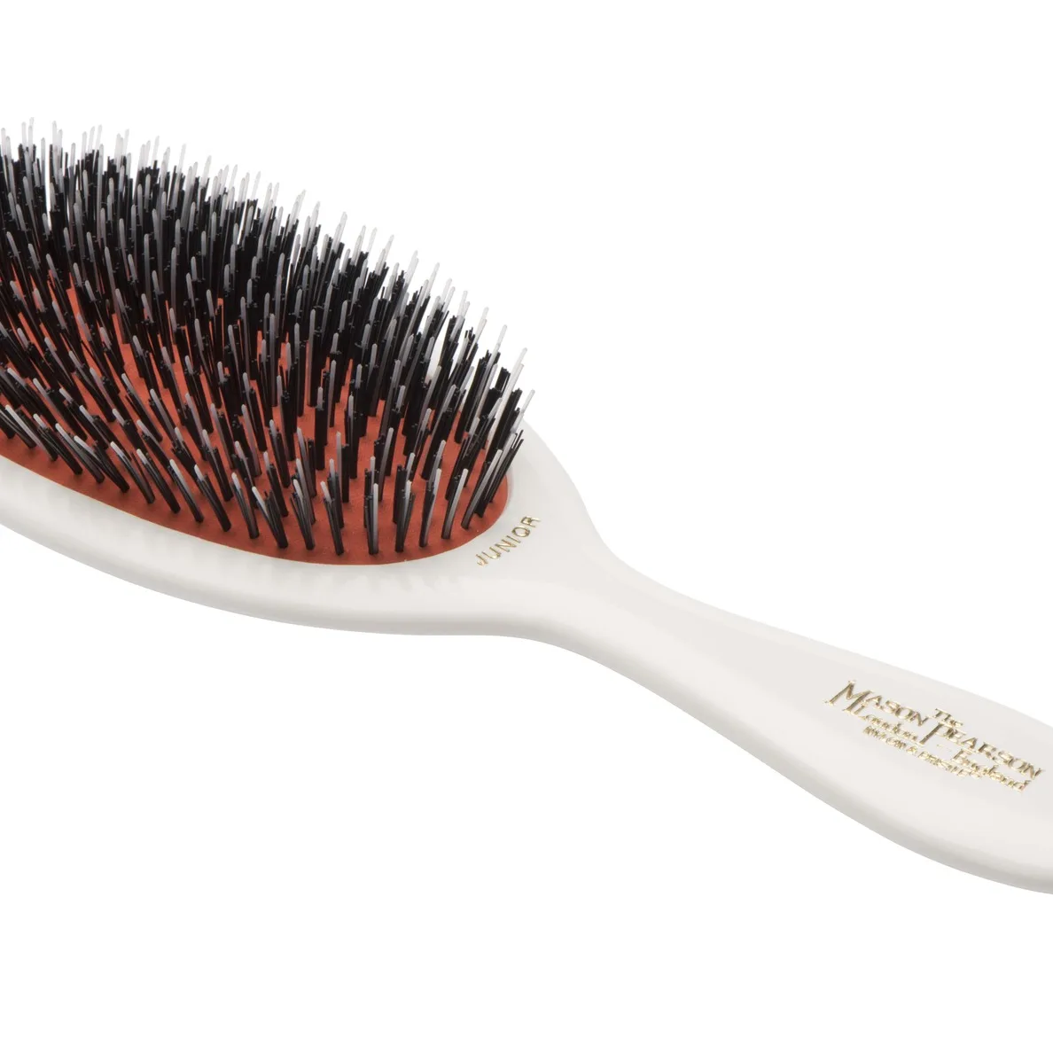 BN2 - Junior Bristle and Nylon Ivory