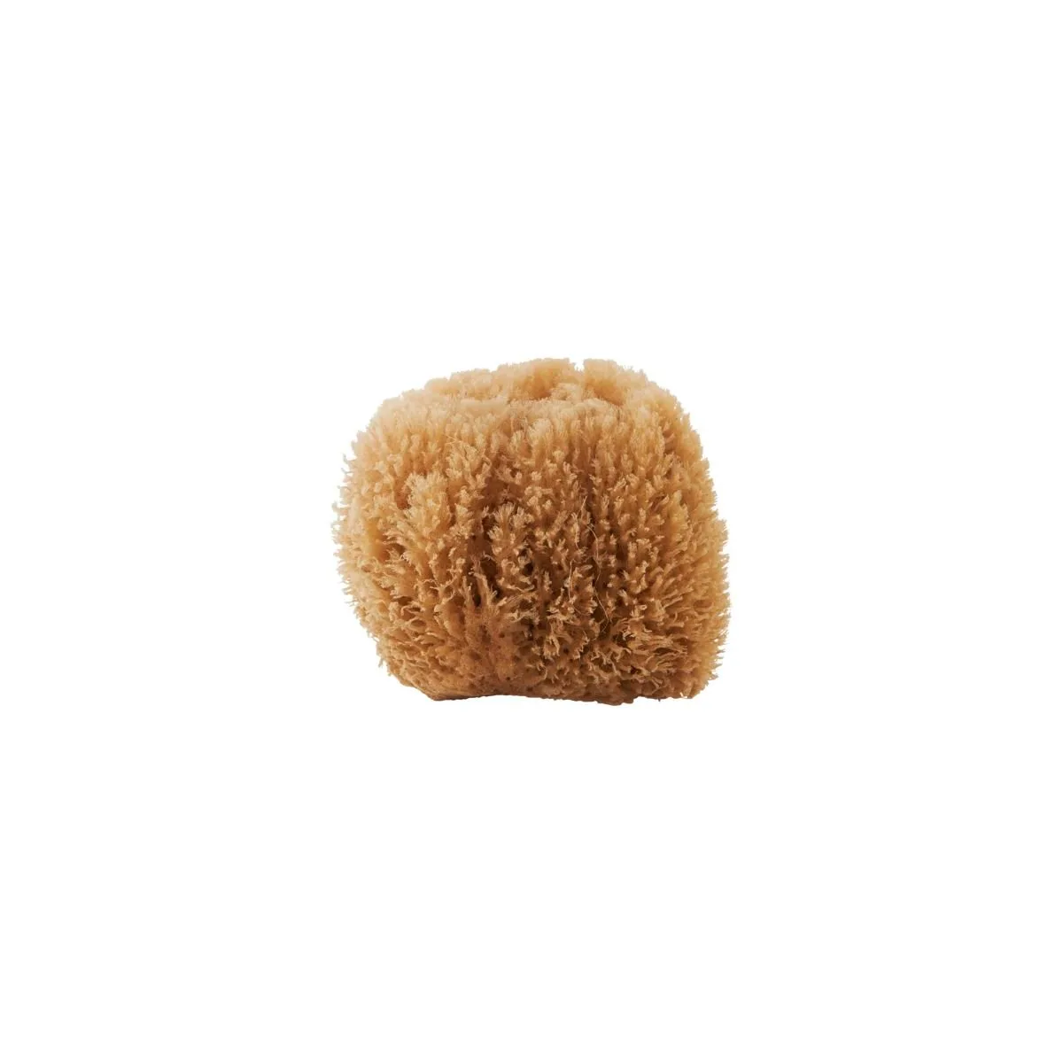 Meraki Sponge Bahamas 1 stk.