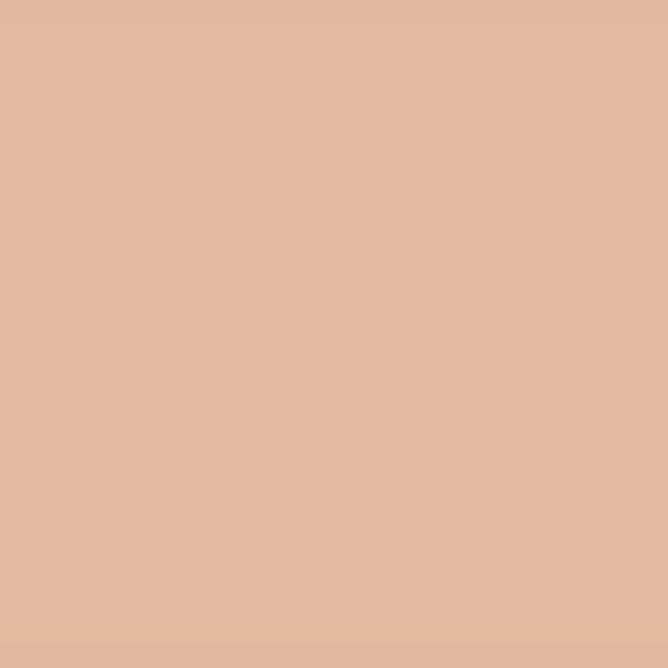 Milani Cosmetics Milani Conceal + Perfect Long Wear Concealer Light Beige 5 ml