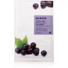 Mizon Joyful Time Acai Berry Uppljusande och vitaliserande arkmask 23 g