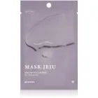 Mizon Joyful Time Jeju Fix Fuktgivande arkmask för ansiktet 23 g