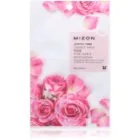 Mizon Joyful Time Rose Fuktgivande arkmask för ansiktet för por-åtdragning 23 g