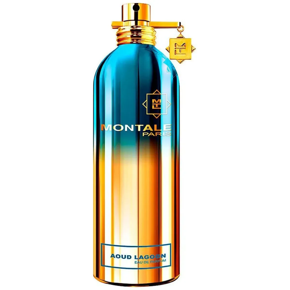 Montale Paris Aoud Lagoon edp 50ml