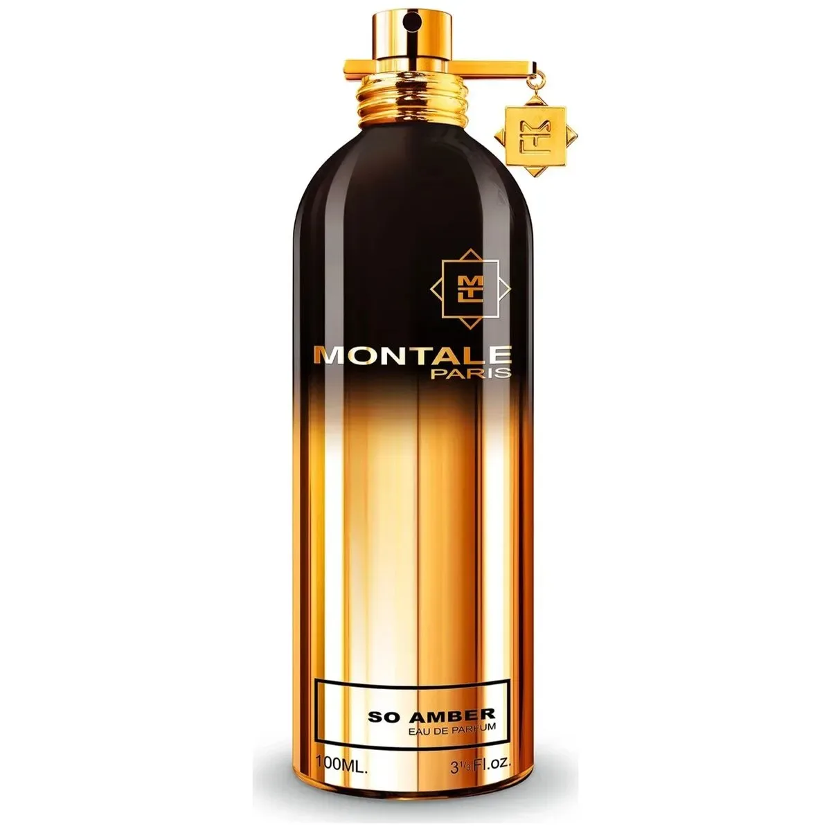 Montale Paris Intense Amber edp 100ml