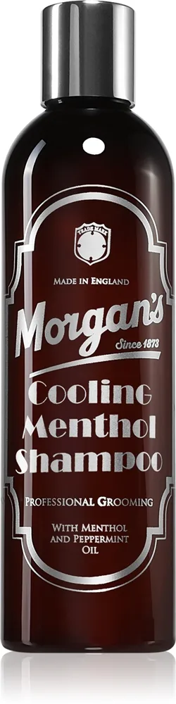Morgan's Cooling Menthol Shampoo energisoiva minttushampoo hiuksille ja päänahalle miehille 250 ml