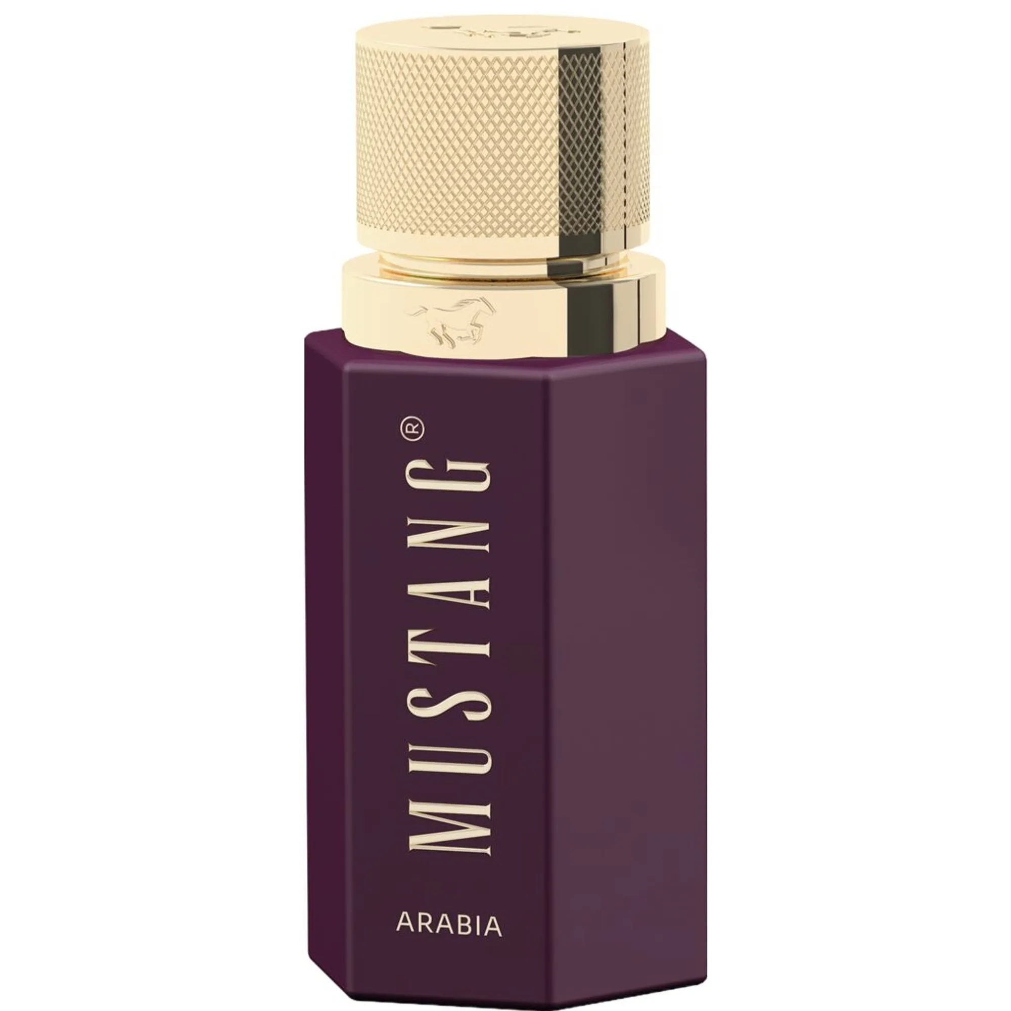MUSTANG WILD HORIZON ARABIA for him Eau de Parfum
