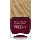 Nails Inc. Plant Power pitkäkestoinen kynsilakka sävy Flex My Complex 14 ml