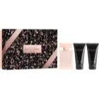 Narciso Rodriguez for her Musk Nude EdP 50ml + Body Lotion 50ml + Shower Gel 50ml Doftset