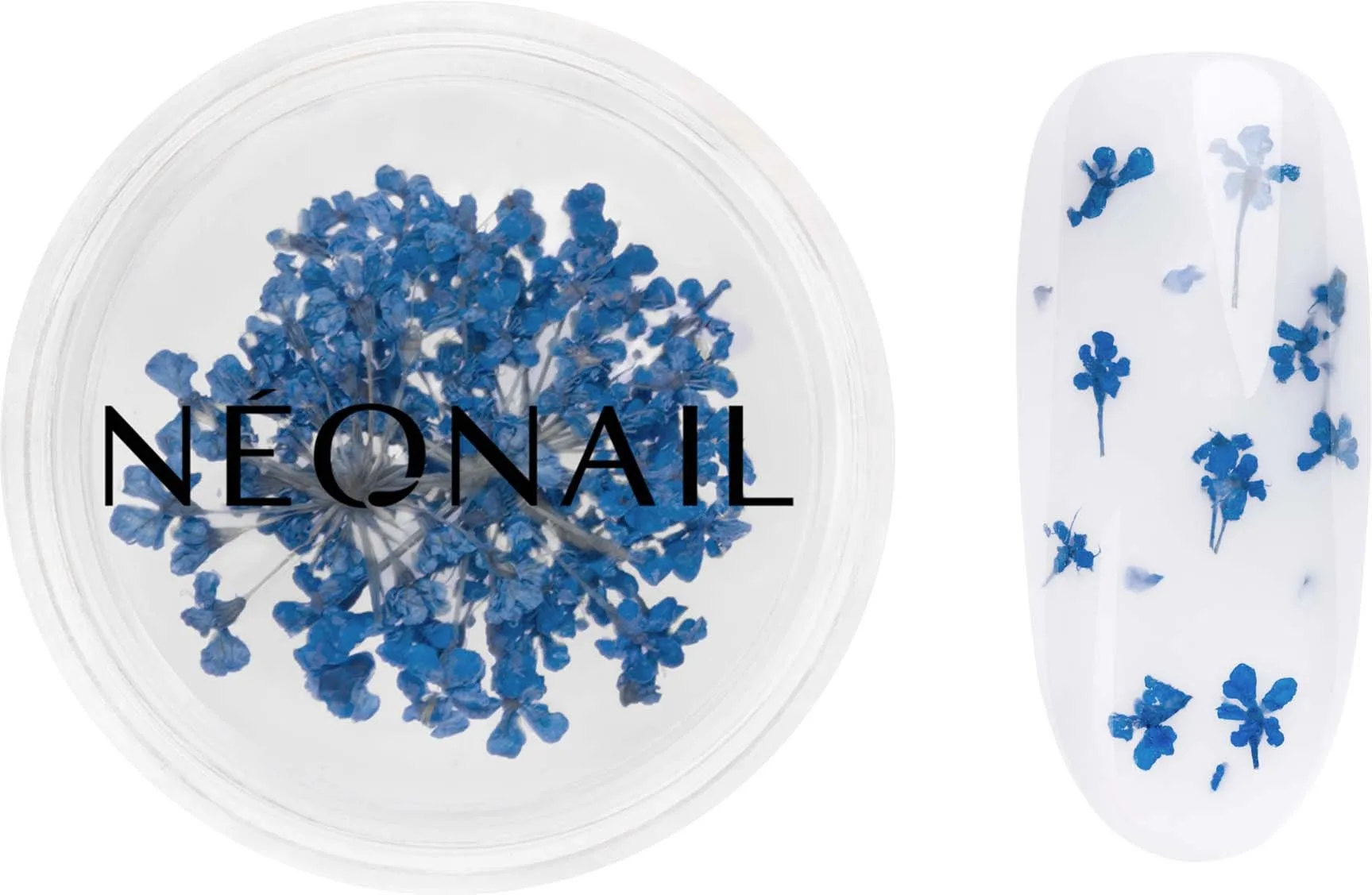 NEONAIL Dried flowers