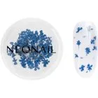 NEONAIL Dried flowers