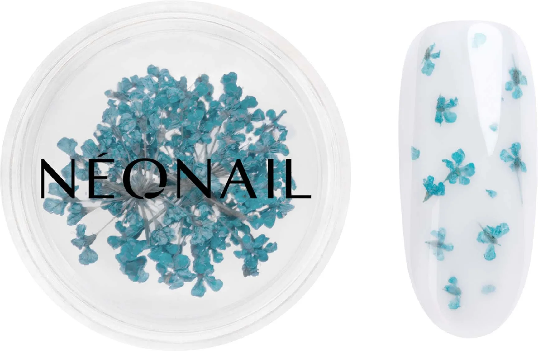 NEONAIL Dried flowers