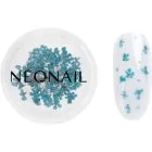 NEONAIL Dried flowers